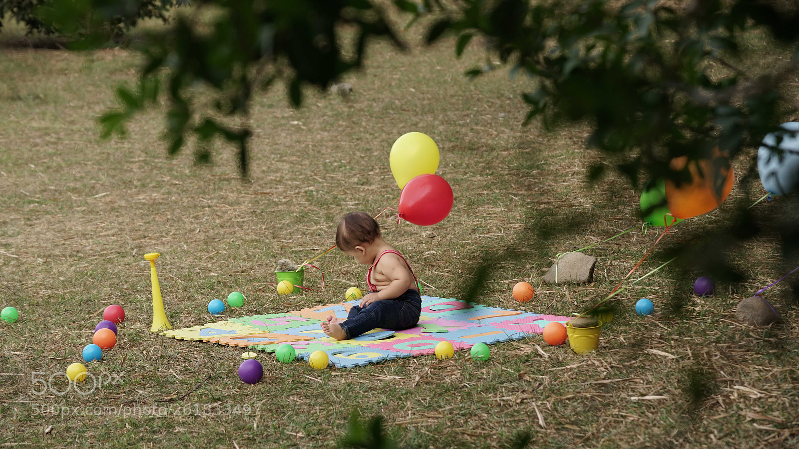 Sony a7R II sample photo. Dsc photography
