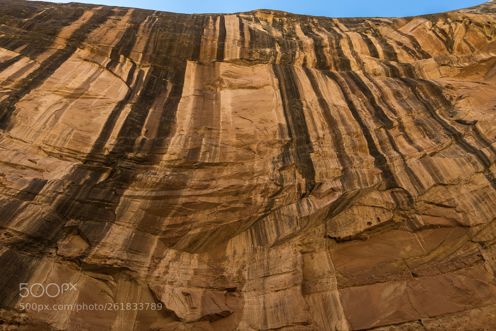 Nikon D850 sample photo. Grand wash trail photography