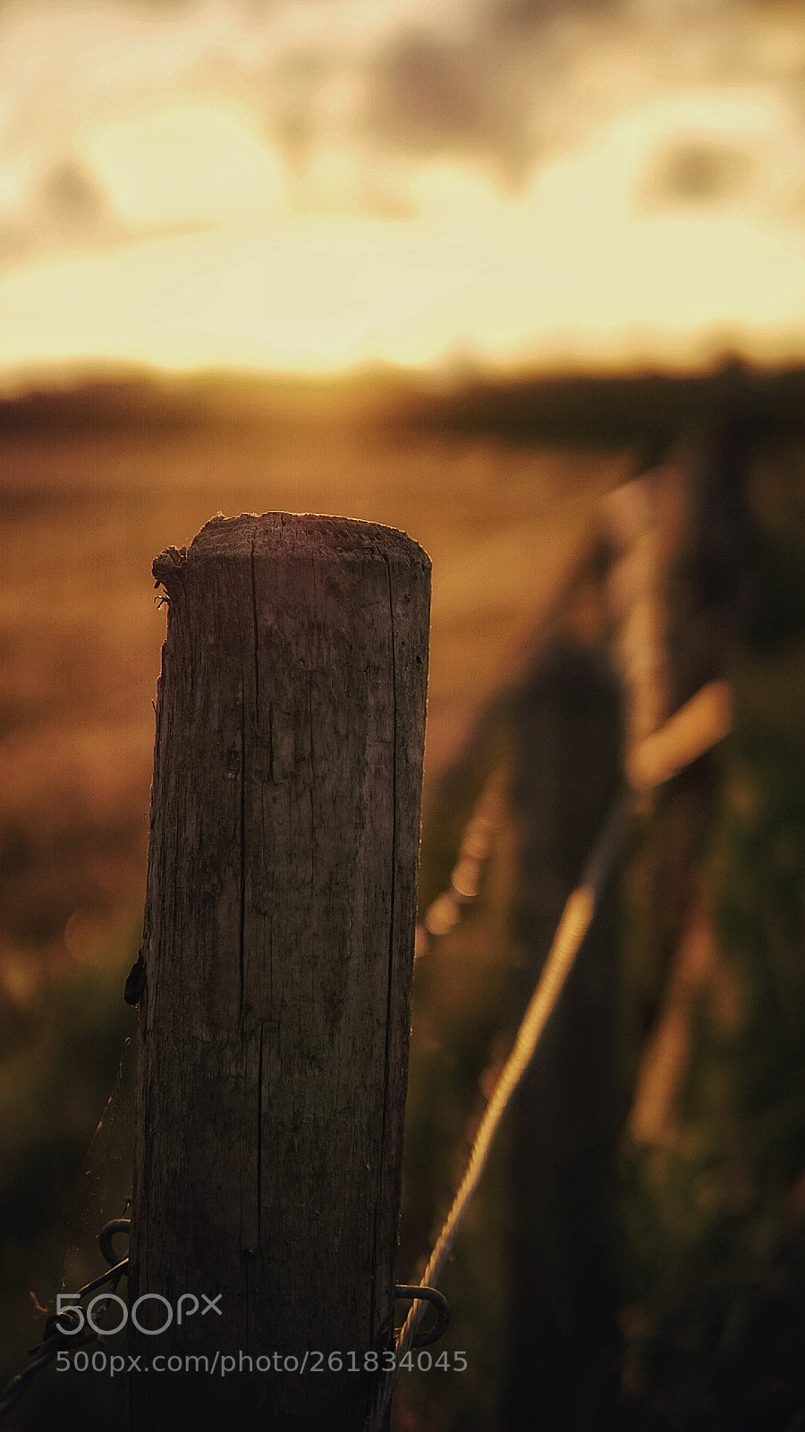 Sony a6000 sample photo. Golden hour. photography