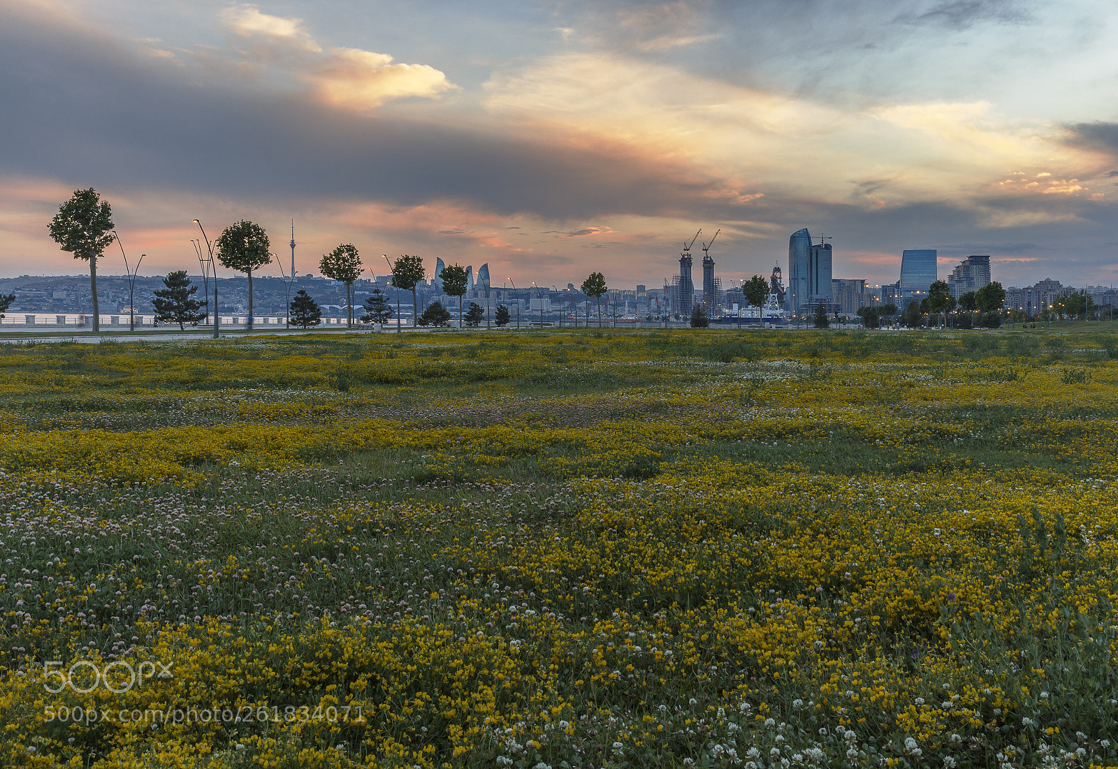 Canon EOS 6D sample photo. Sunset on the boulevard photography