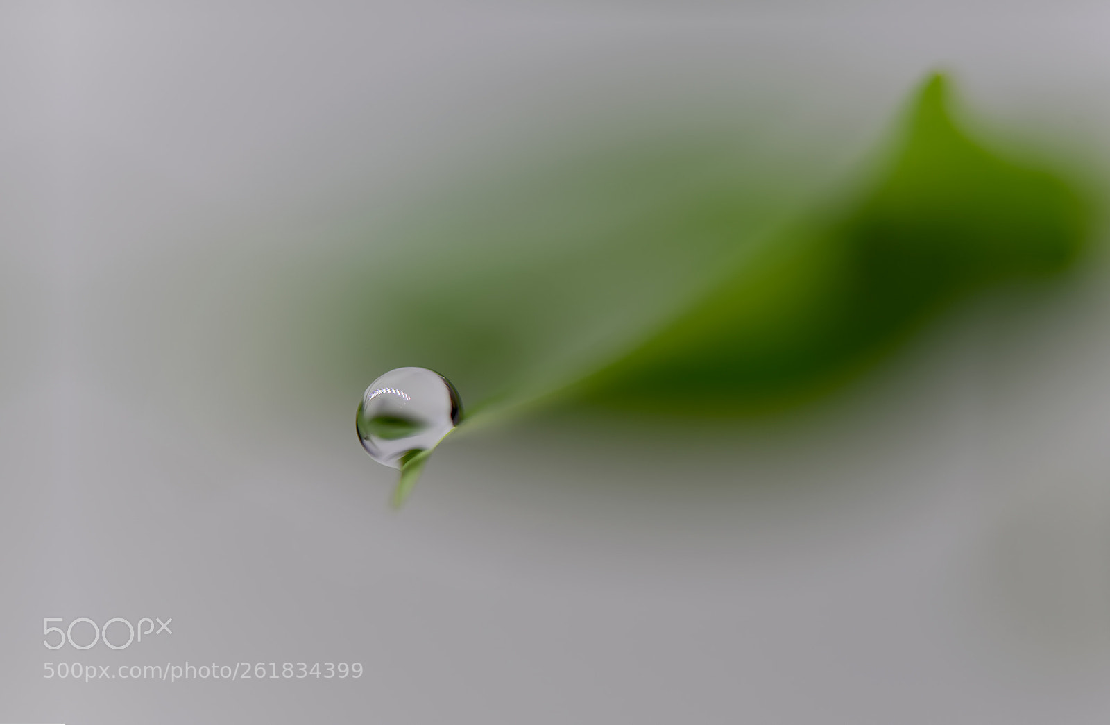 Nikon D750 sample photo. In all simplicity photography