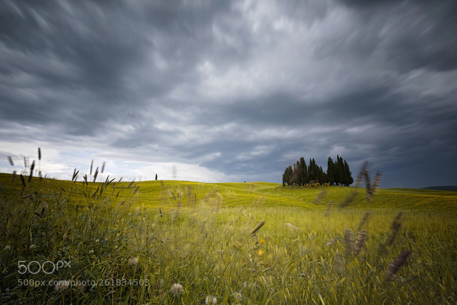 Canon EOS 5D Mark IV sample photo. Tuscan landscapes (2018 - ii) photography