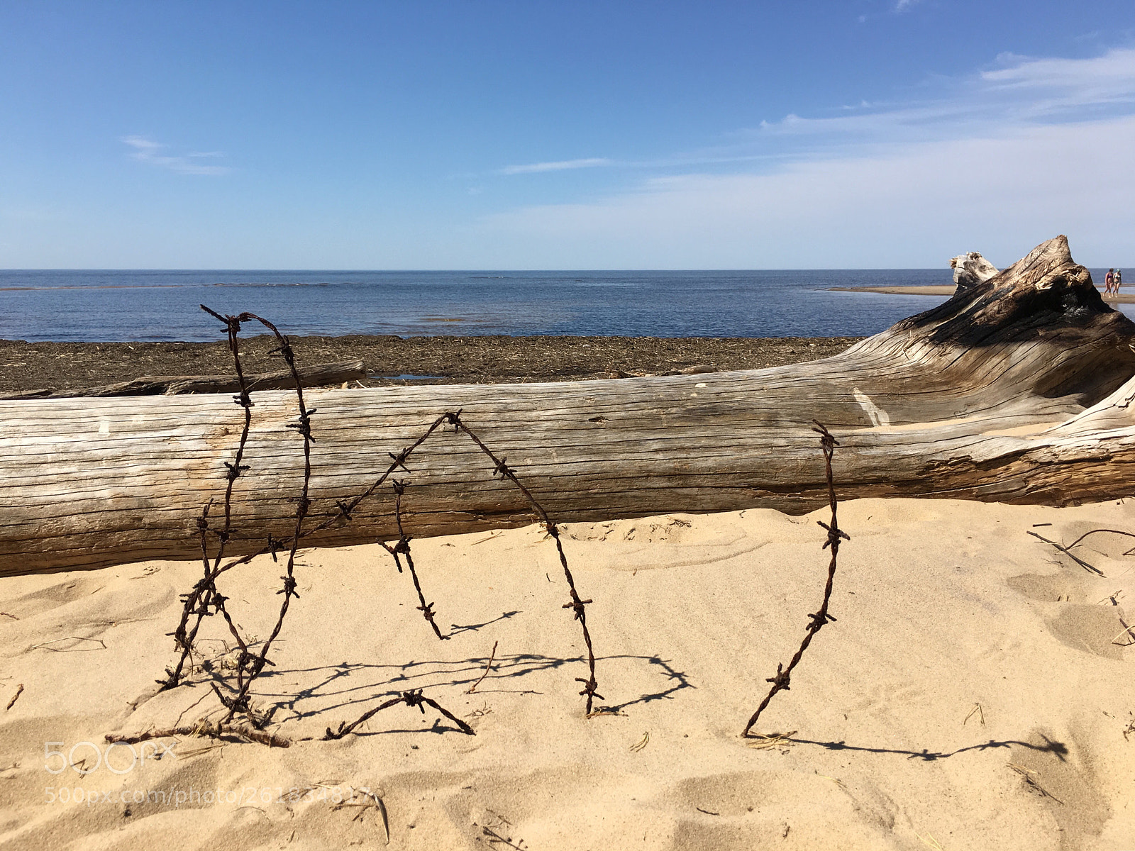 Apple iPhone 6s Plus sample photo. Drat on the beach. photography