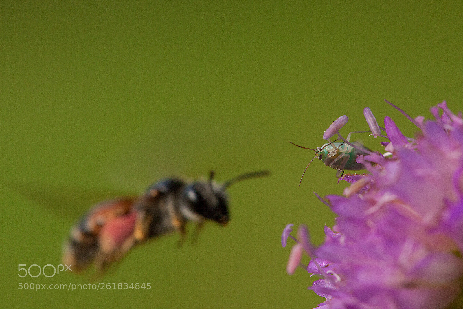 Canon EOS 5D Mark II sample photo. Occupied photography