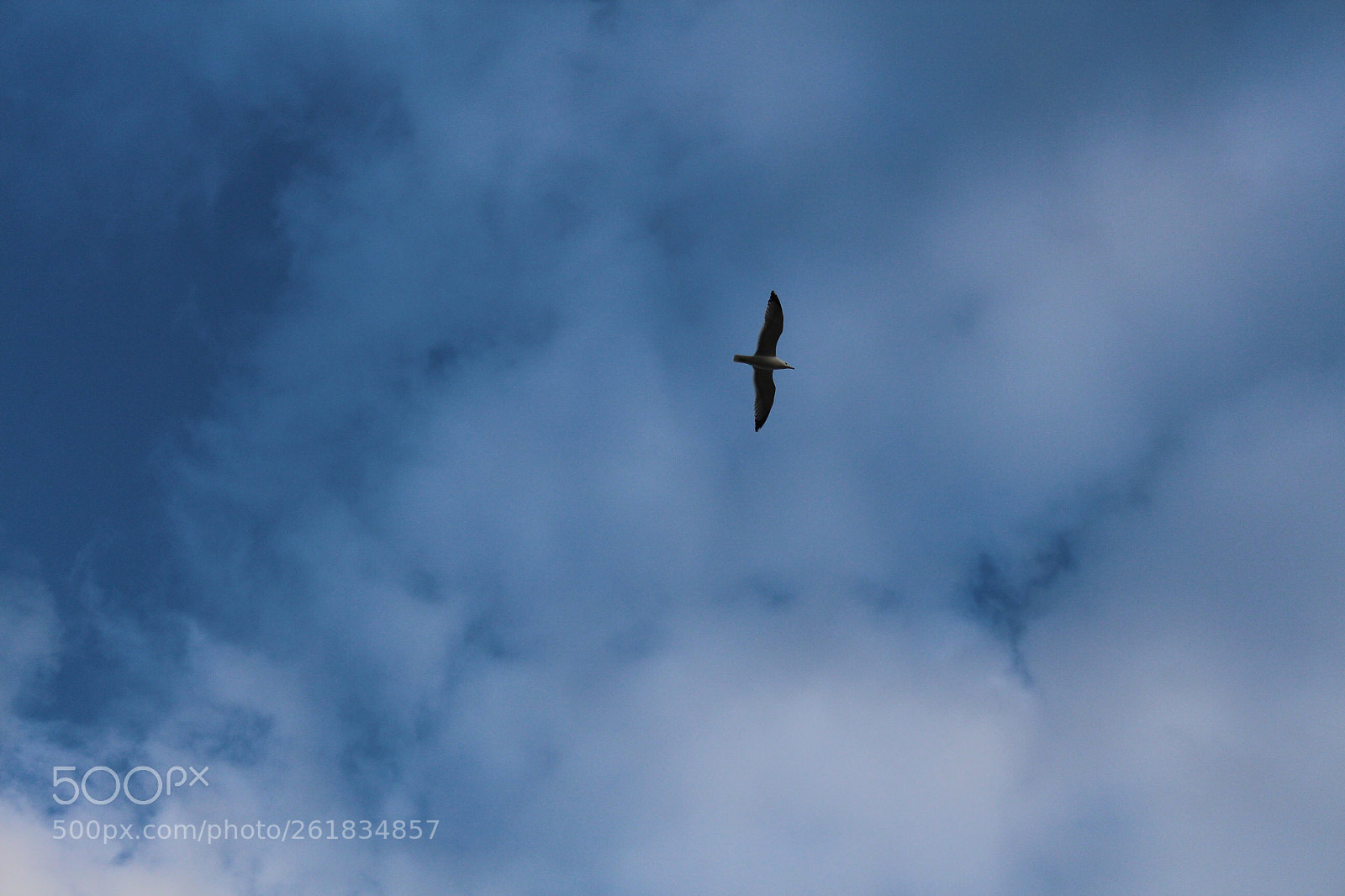 Canon EOS 650D (EOS Rebel T4i / EOS Kiss X6i) sample photo. Above the clouds  photography