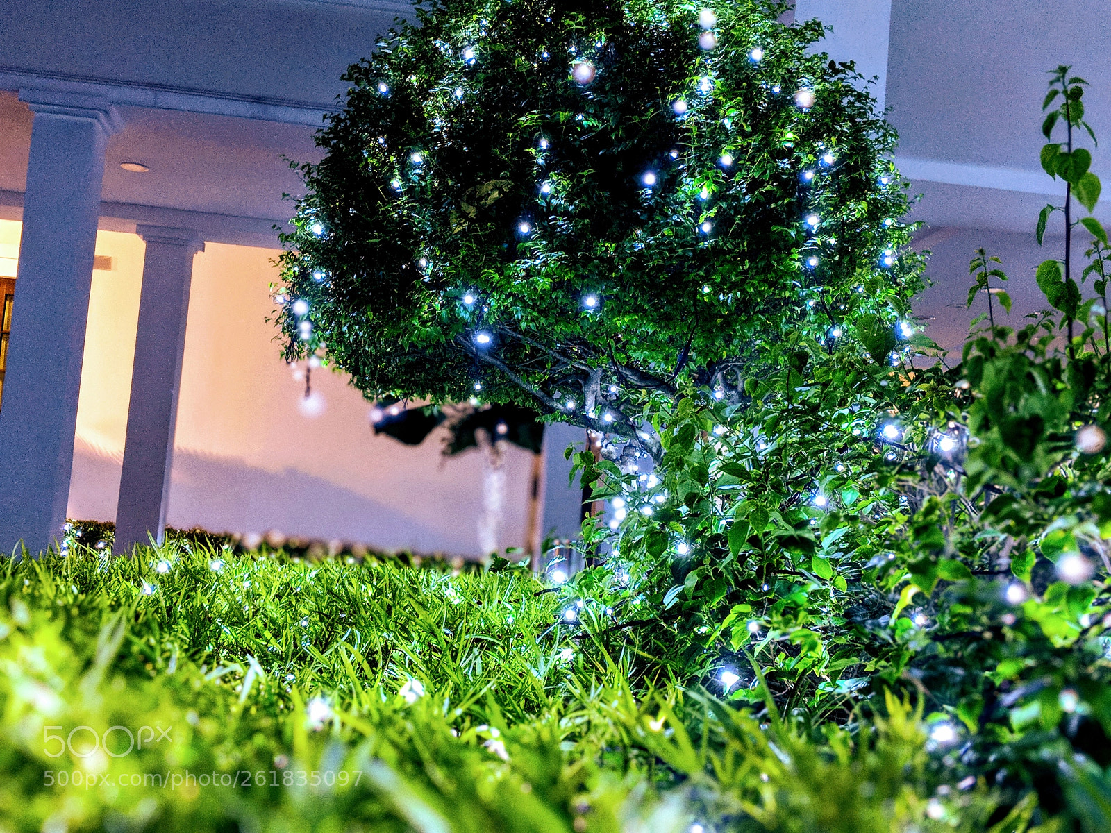 Google Pixel 2 sample photo. Untitled photography