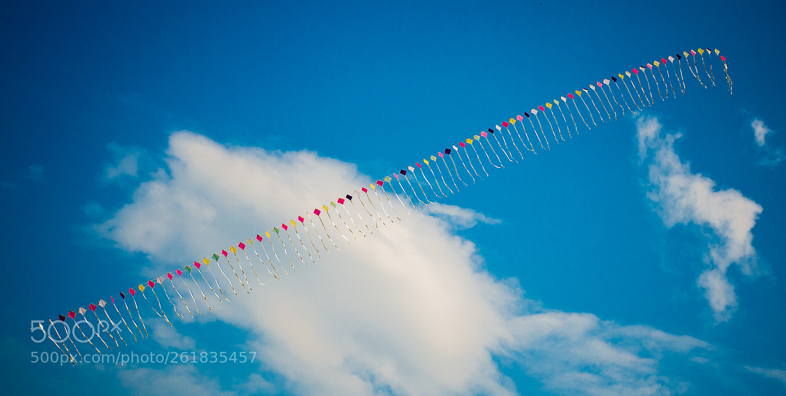 Nikon D7000 sample photo. Many colorful kites photography