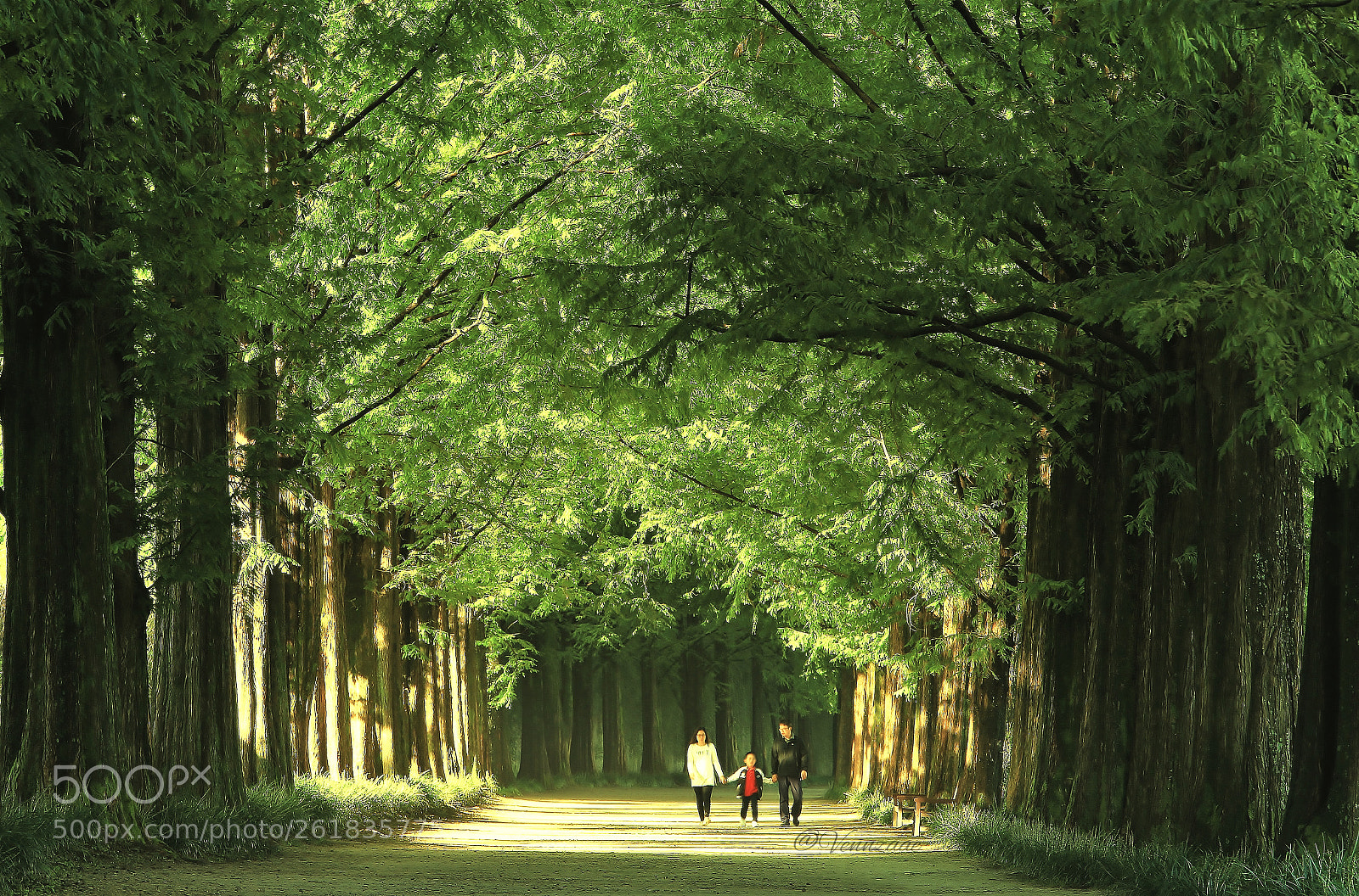 Canon EOS 6D sample photo. Walk in love photography