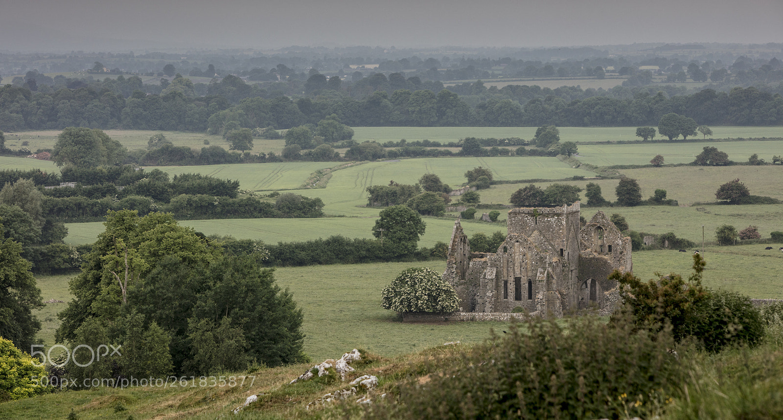 Canon EOS 5DS R sample photo. Hore abbey, cashel, county photography