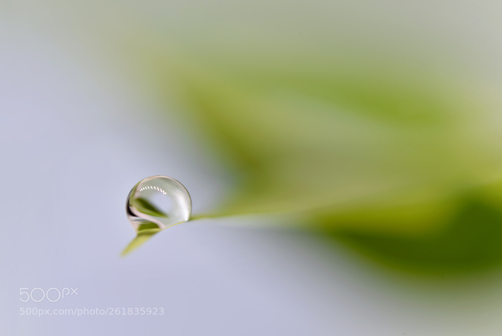 Nikon D750 sample photo. In all simplicity ll photography