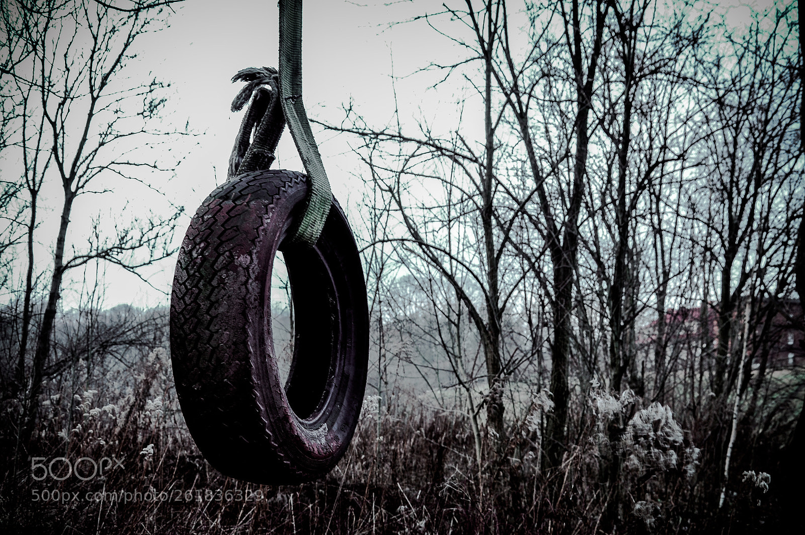 Nikon D5000 sample photo. Swing photography