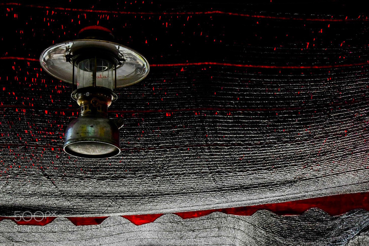 Nikon D500 sample photo. Without light photography
