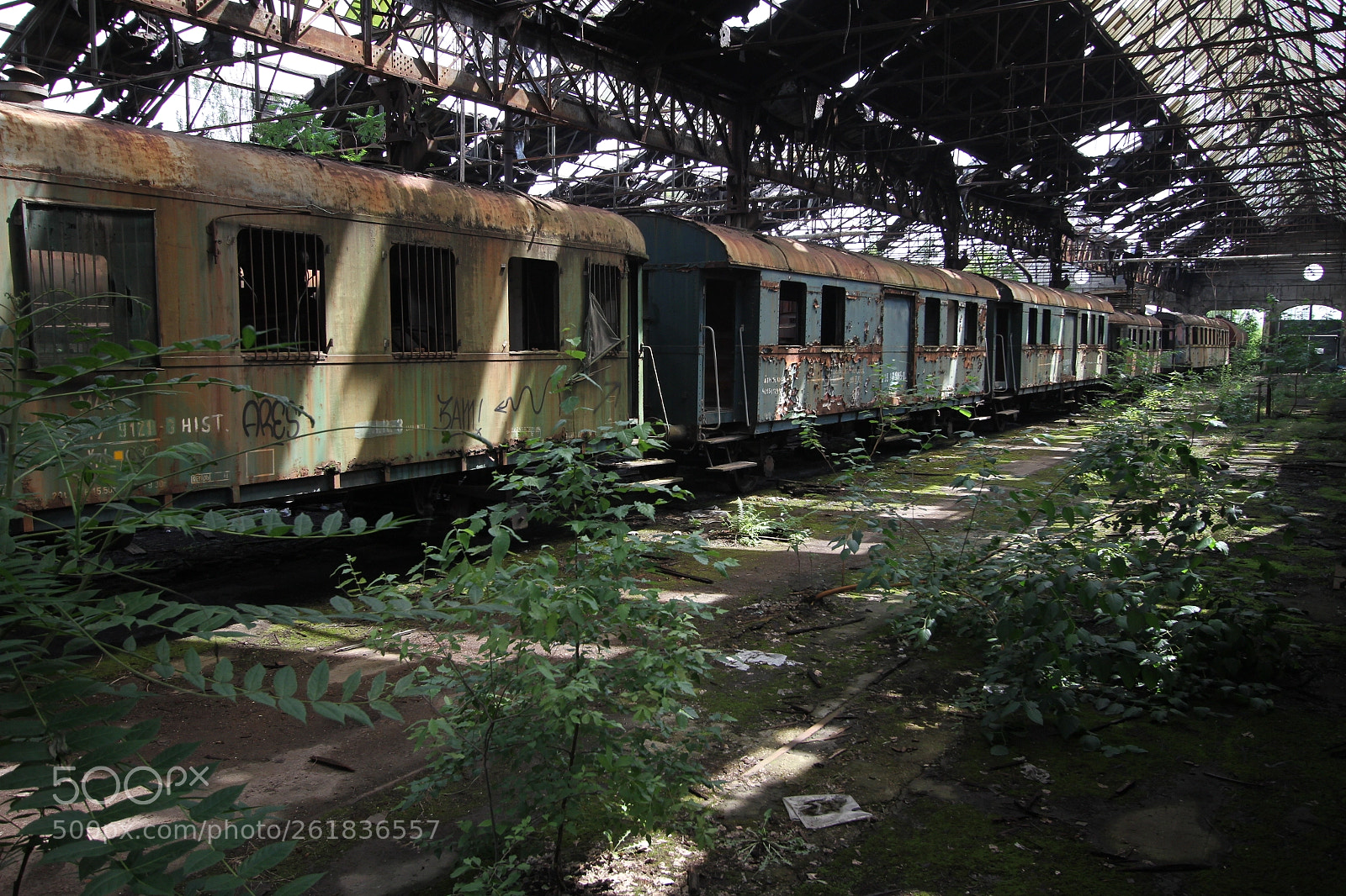 Canon EF-S 10-22mm F3.5-4.5 USM sample photo. Old wagons from istv photography