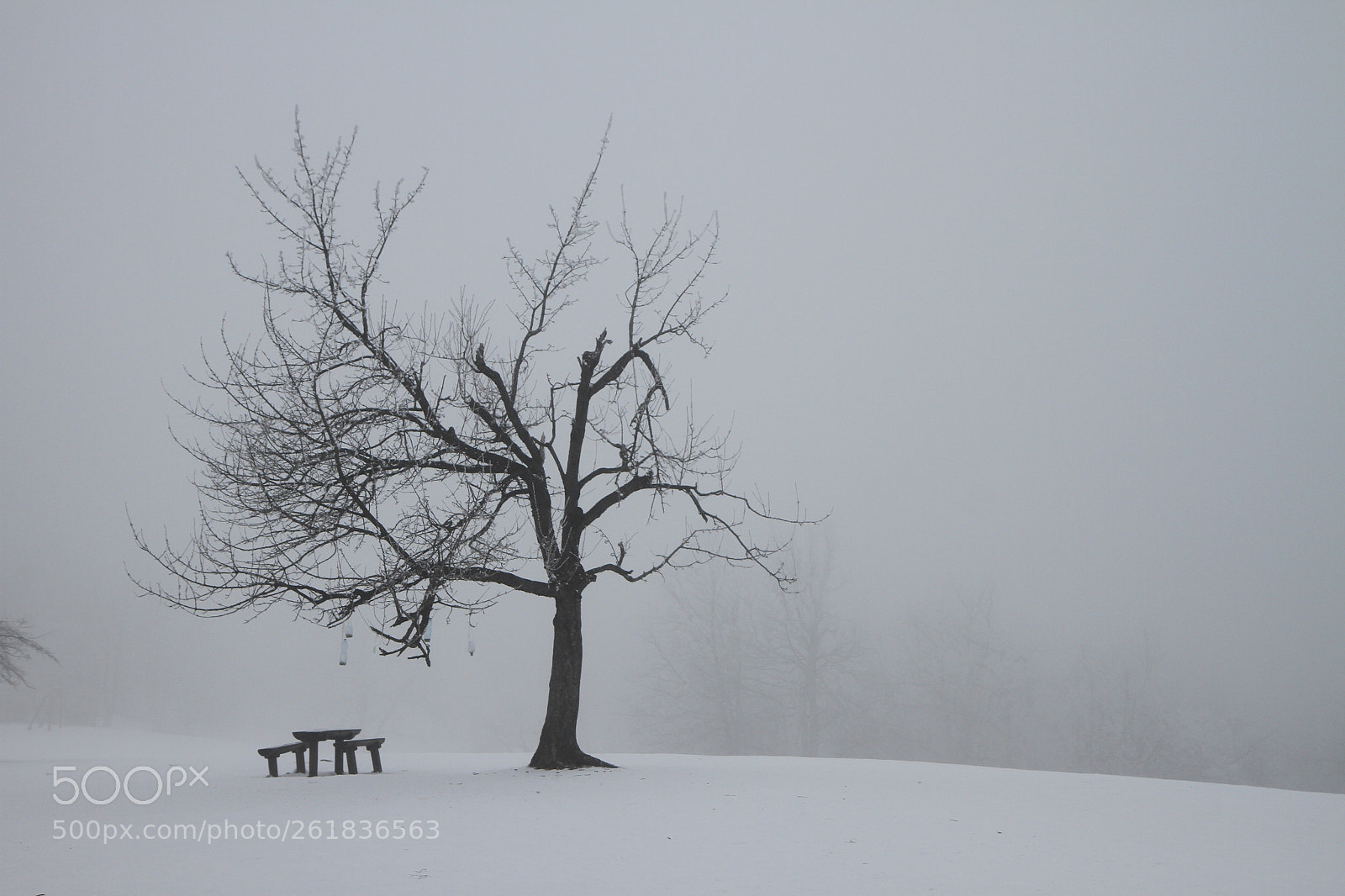 Canon EF-S 17-55mm F2.8 IS USM sample photo. Winter landscape photography