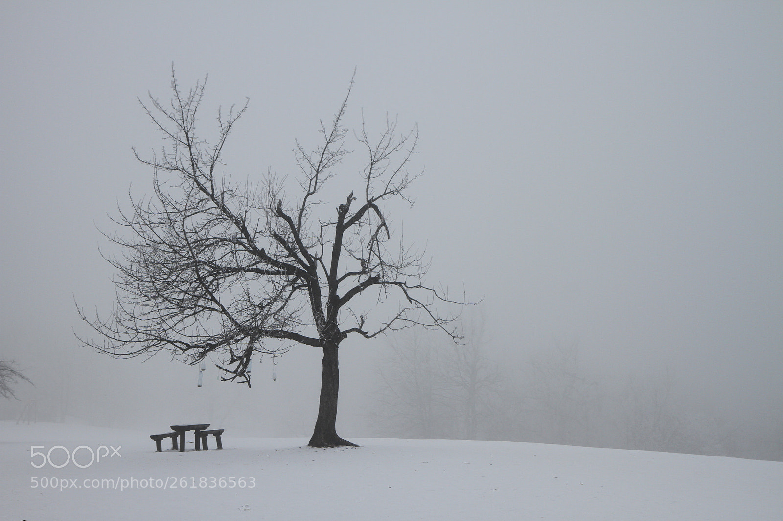 Canon EOS 7D sample photo. Winter landscape photography