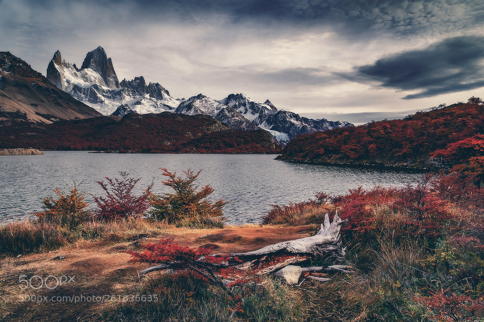 Canon EOS 5D Mark IV sample photo. Lake capri - el photography