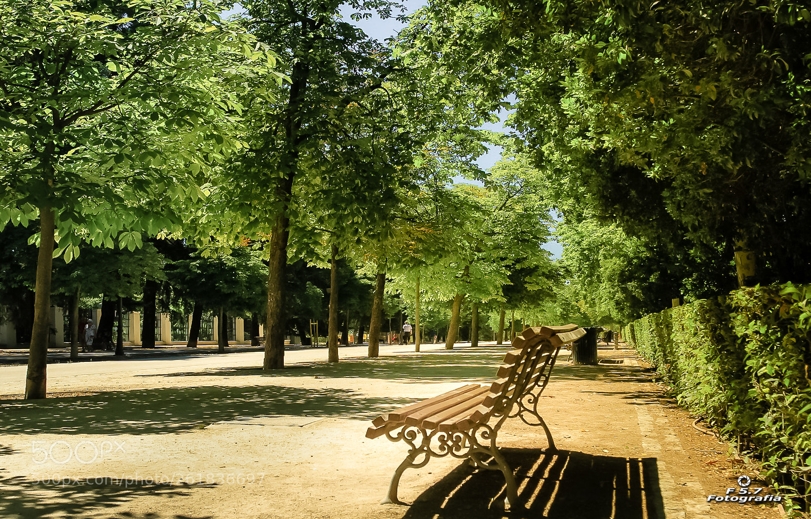 Canon EOS 7D sample photo. Parque del retiro photography