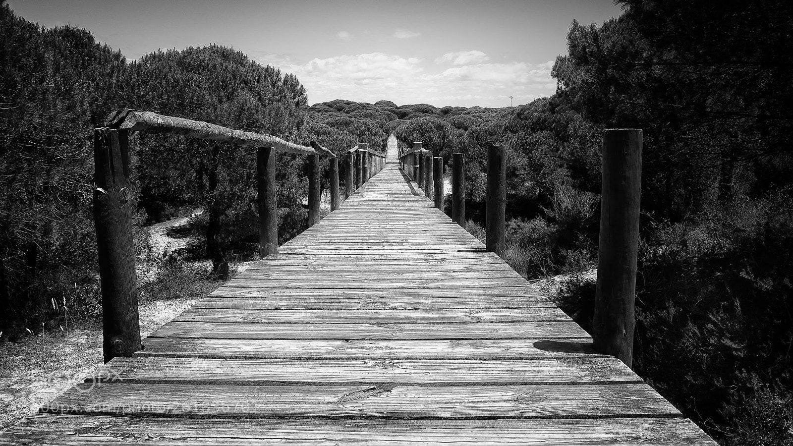 Pentax K-S1 sample photo. Path to nowhere photography