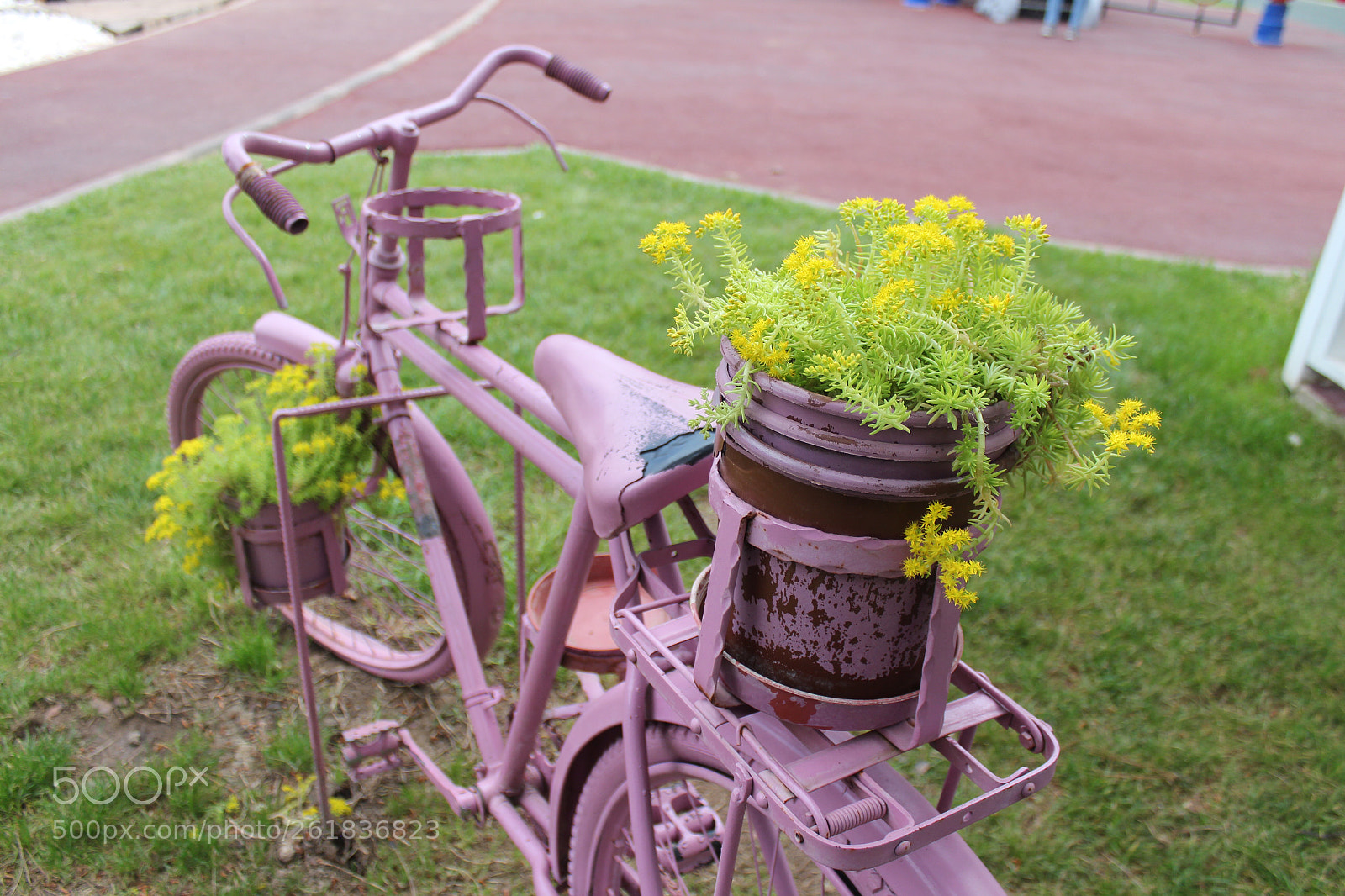 Canon EOS 650D (EOS Rebel T4i / EOS Kiss X6i) sample photo. Pink bicycle photography