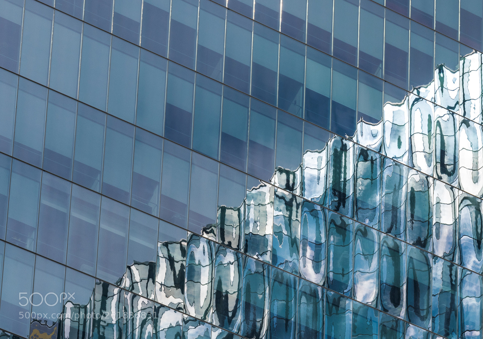 Nikon D3300 sample photo. Distorted visual photography