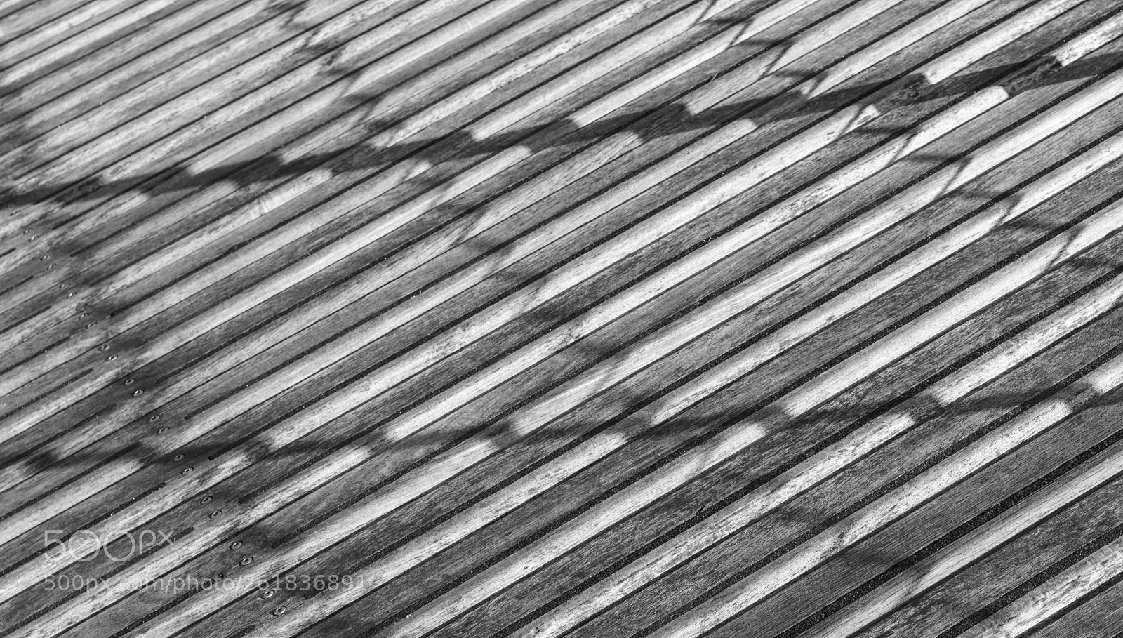 Nikon D3300 sample photo. Light and texture photography
