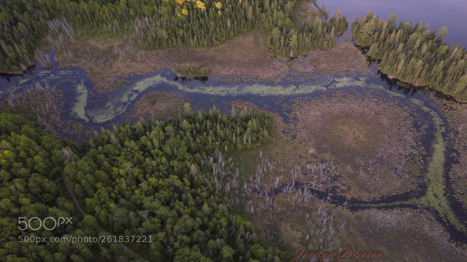 DJI FC220 sample photo. Mary lake photography