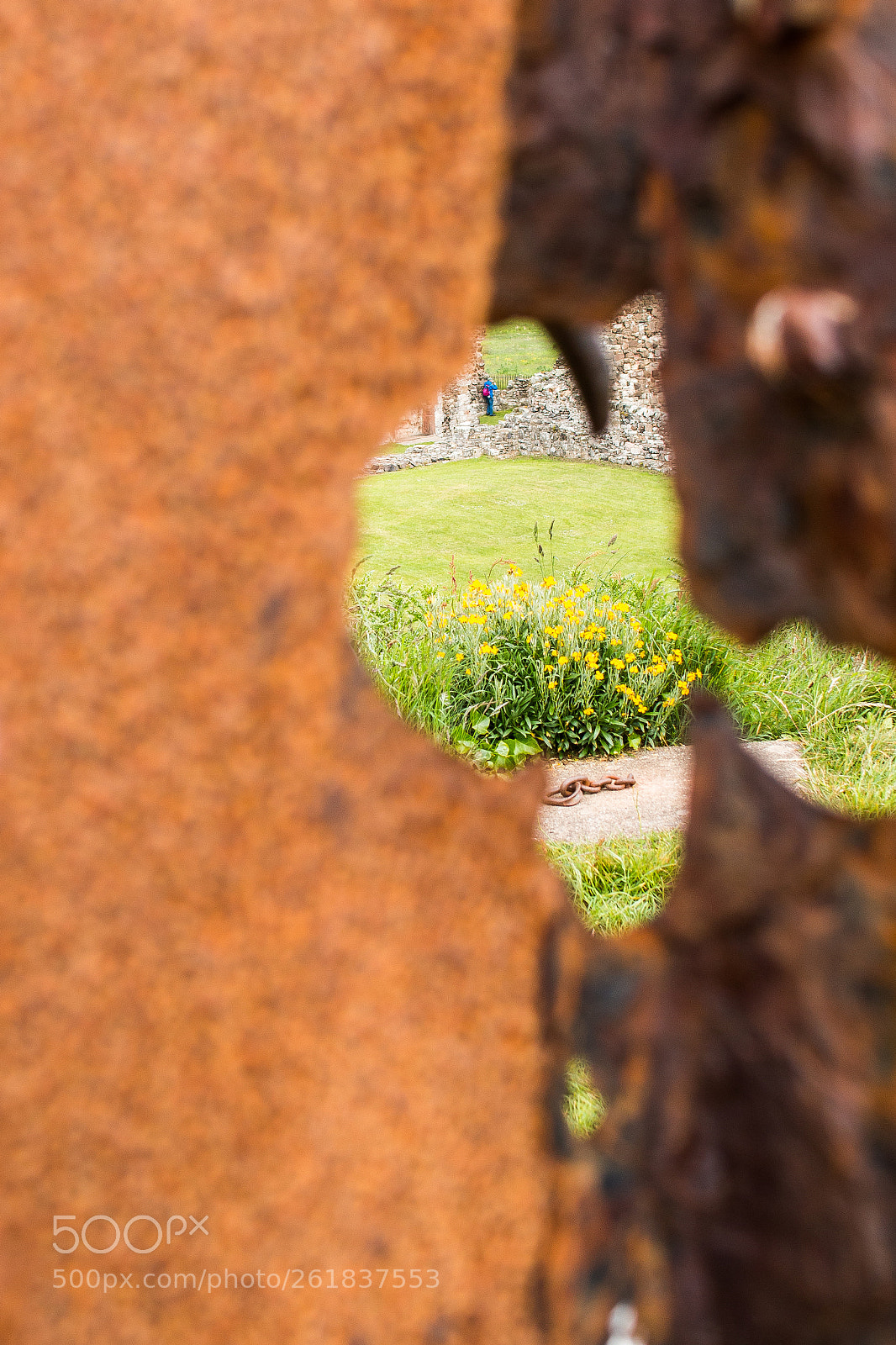 Canon EOS 70D sample photo. Yellow photography
