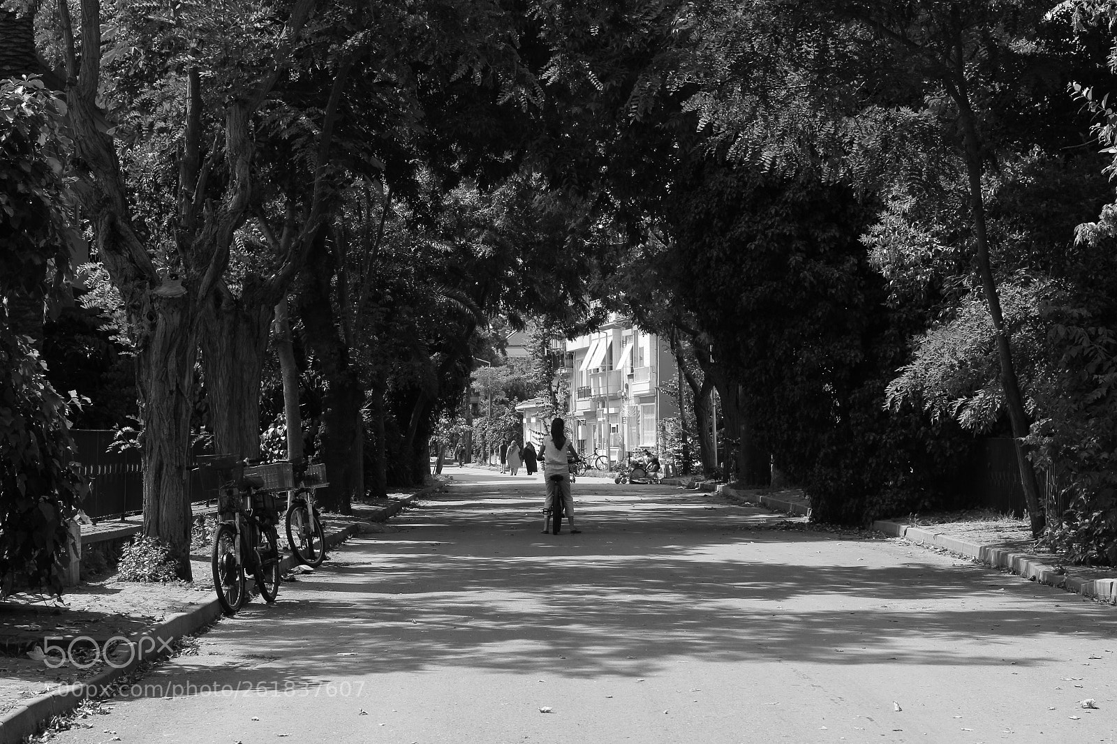 Tamron SP AF 17-50mm F2.8 XR Di II LD Aspherical (IF) sample photo. Untitled photography