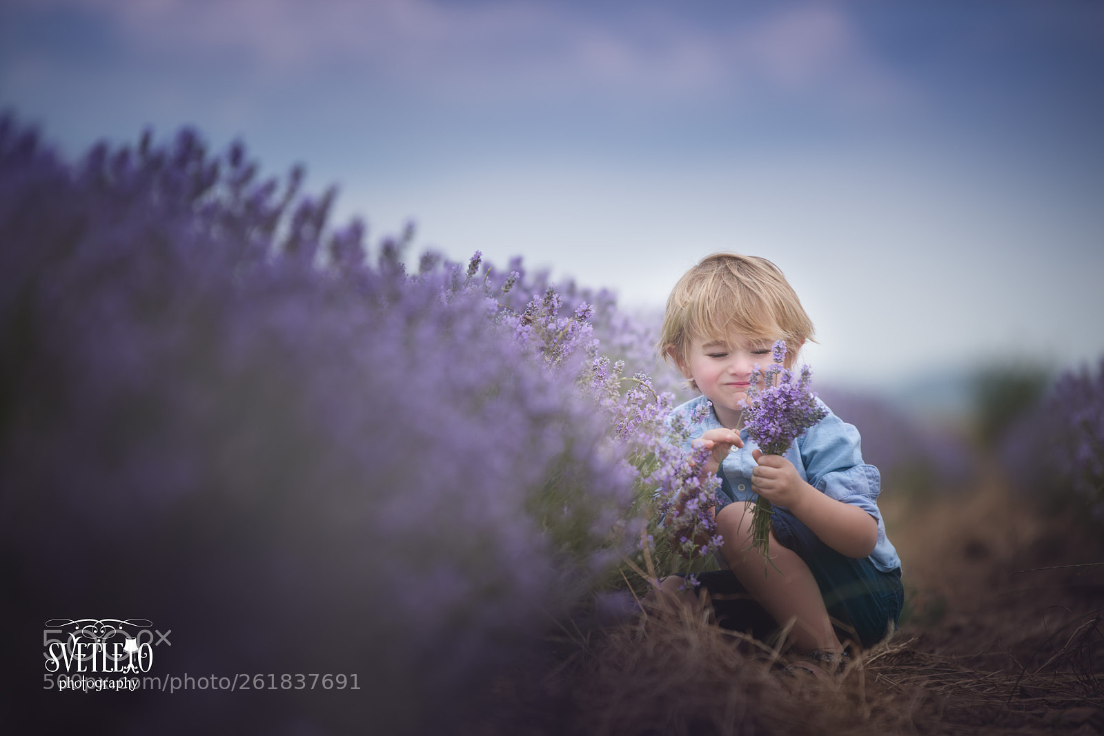 Nikon D810 sample photo. Flowers for mom photography