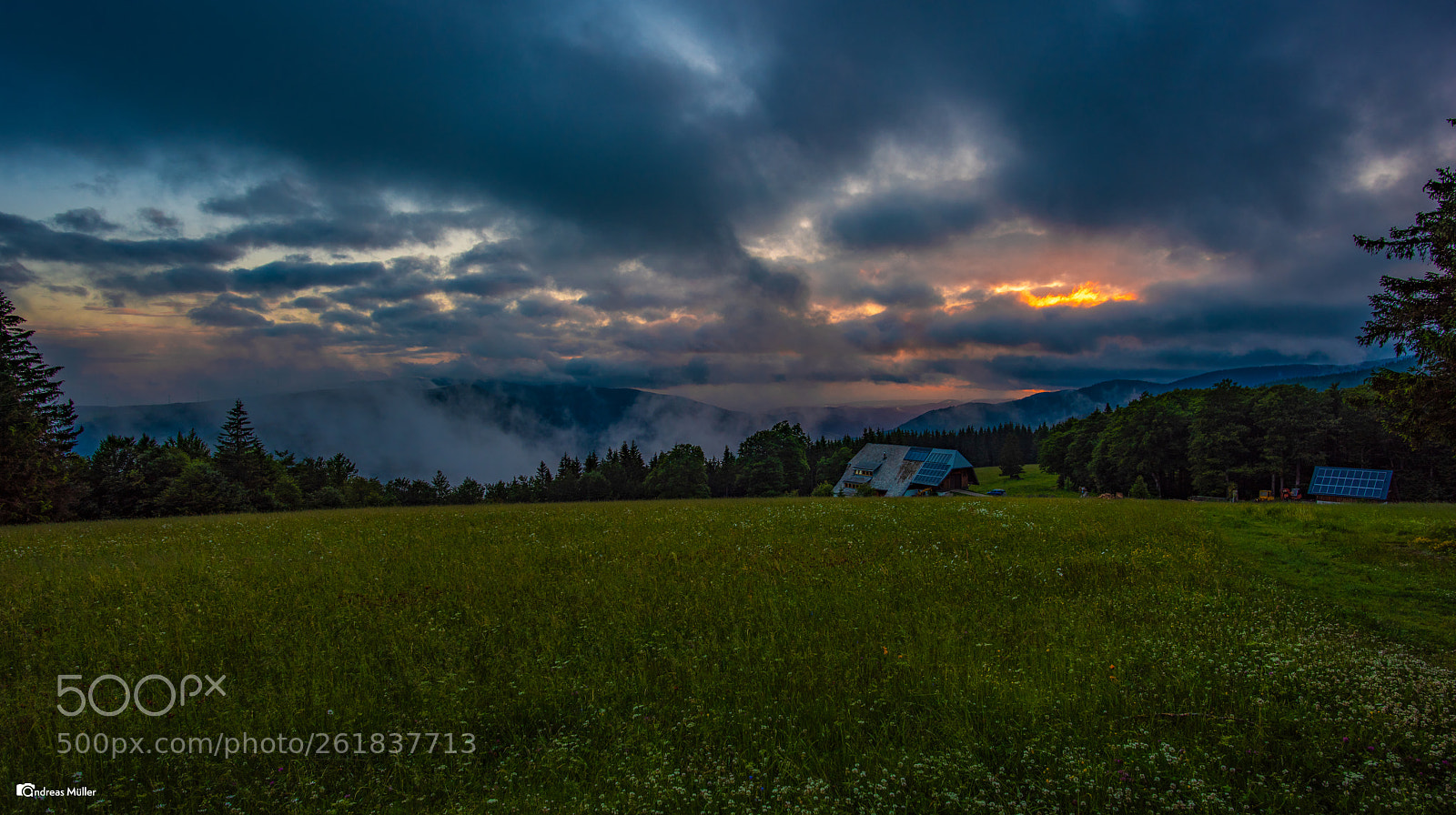 Nikon D810 sample photo. Sunset in the black photography