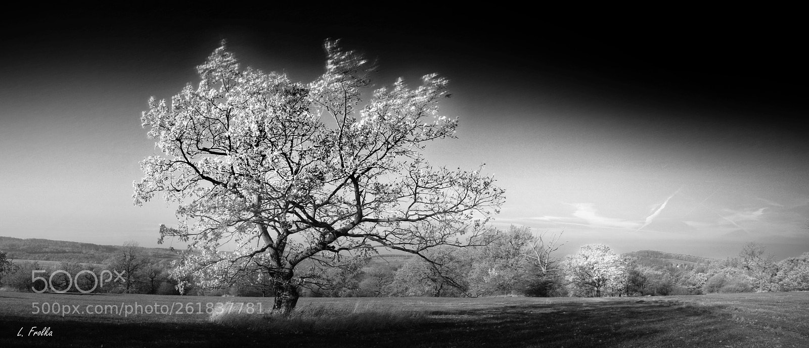 Pentax K20D sample photo. Stand alone photography