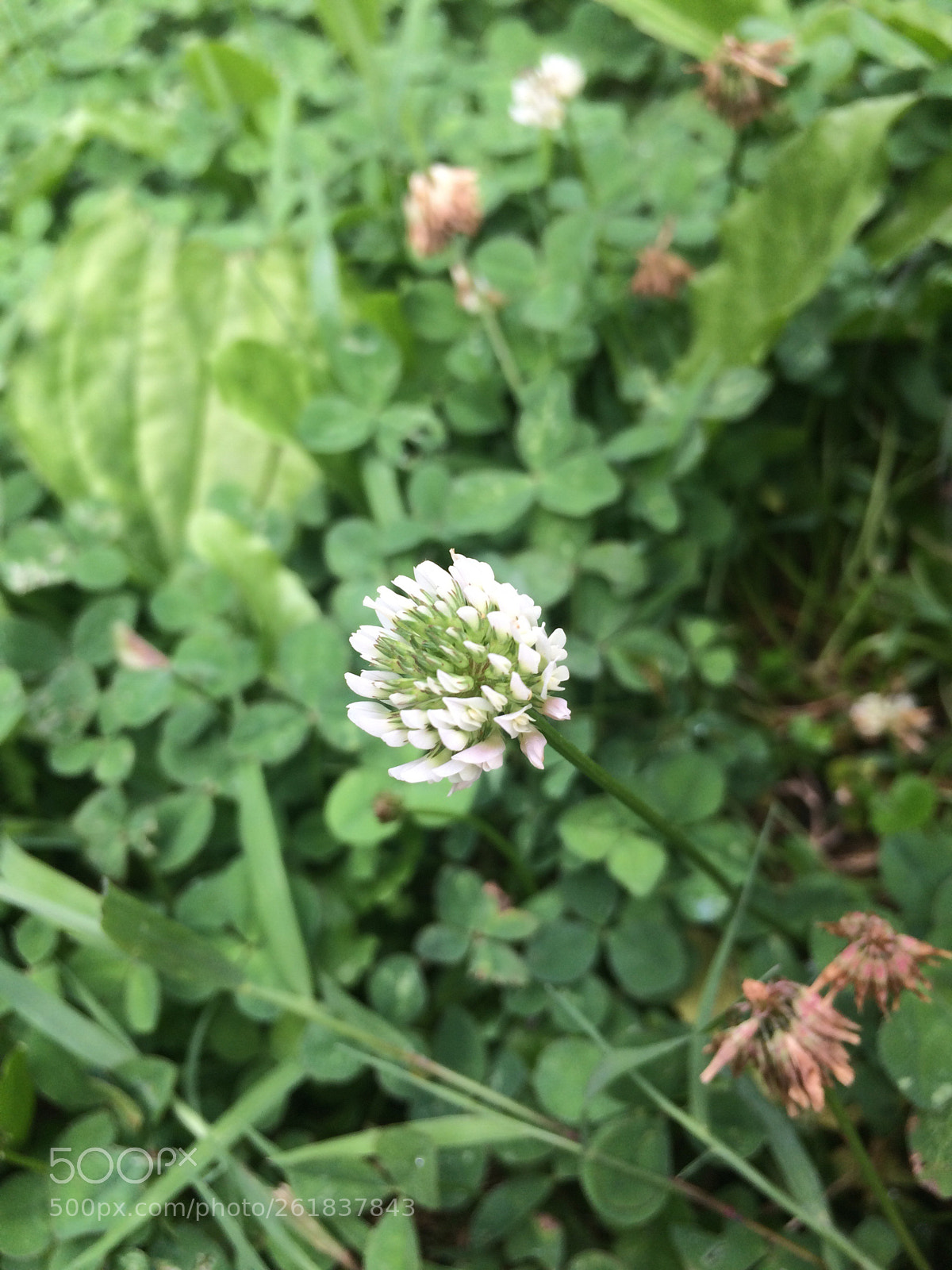 Apple iPhone 5s sample photo. Untitled photography