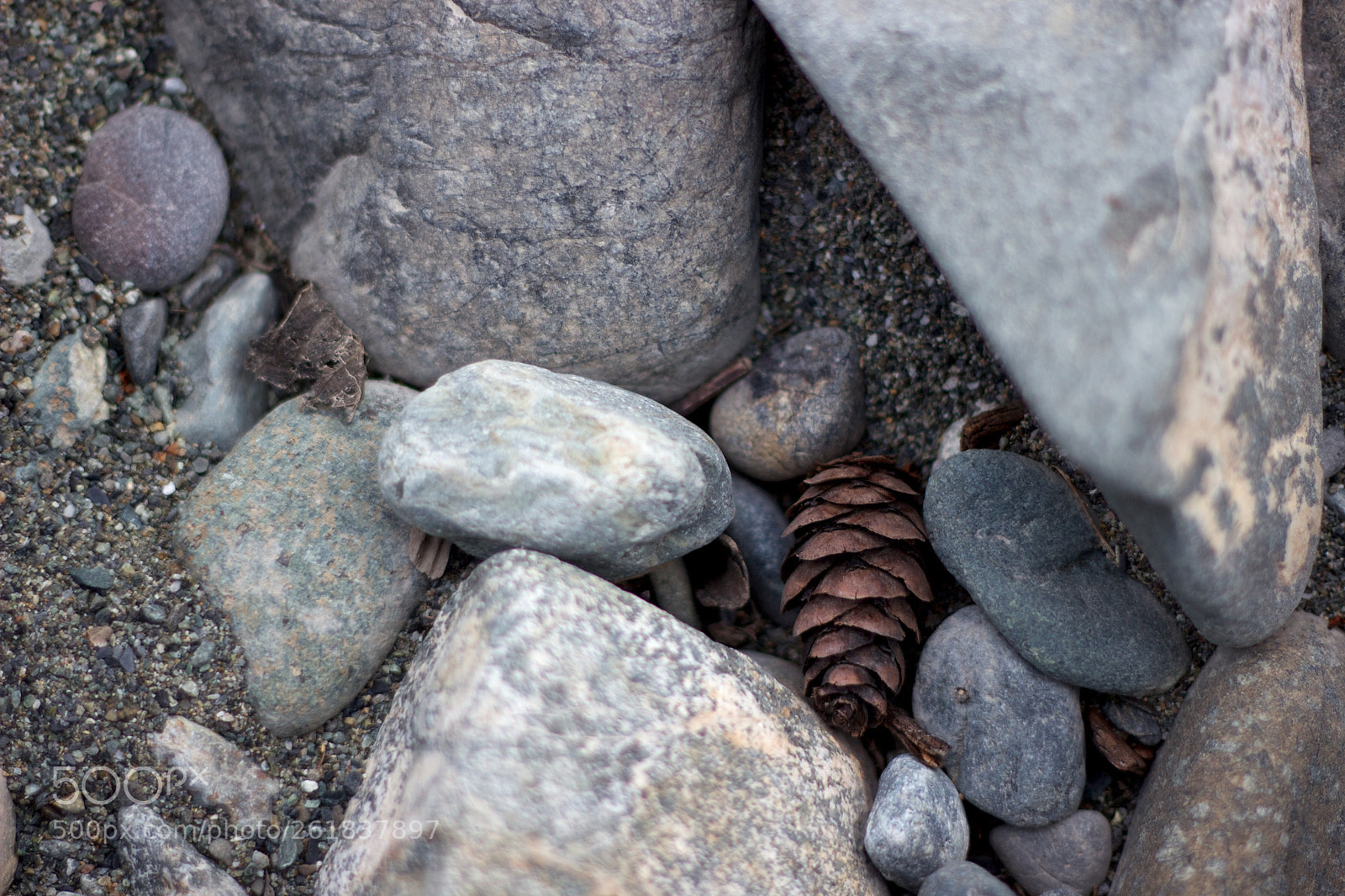 Canon EOS 600D (Rebel EOS T3i / EOS Kiss X5) sample photo. Pine cone in river photography