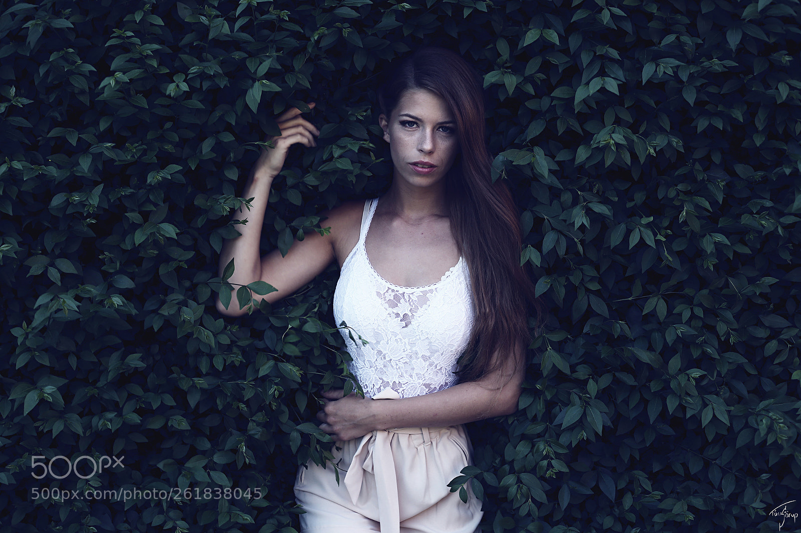 Canon EOS 6D sample photo. . woods iii photography