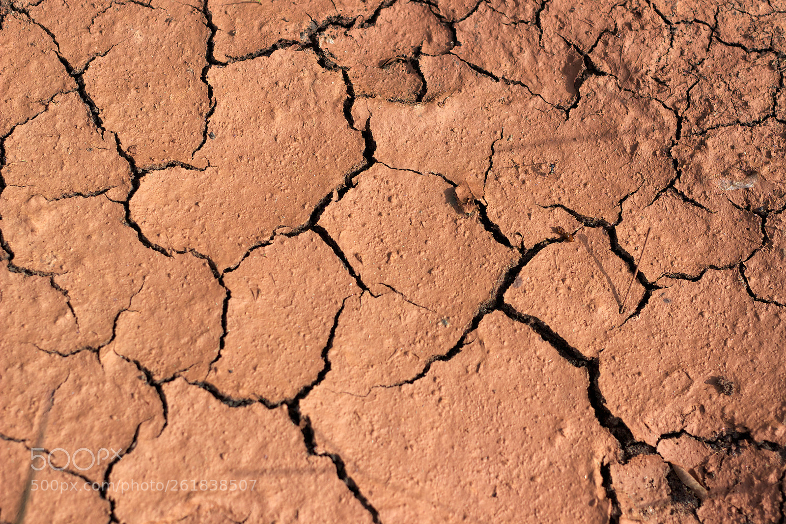Canon EOS 600D (Rebel EOS T3i / EOS Kiss X5) sample photo. Cracked ground of ghana photography