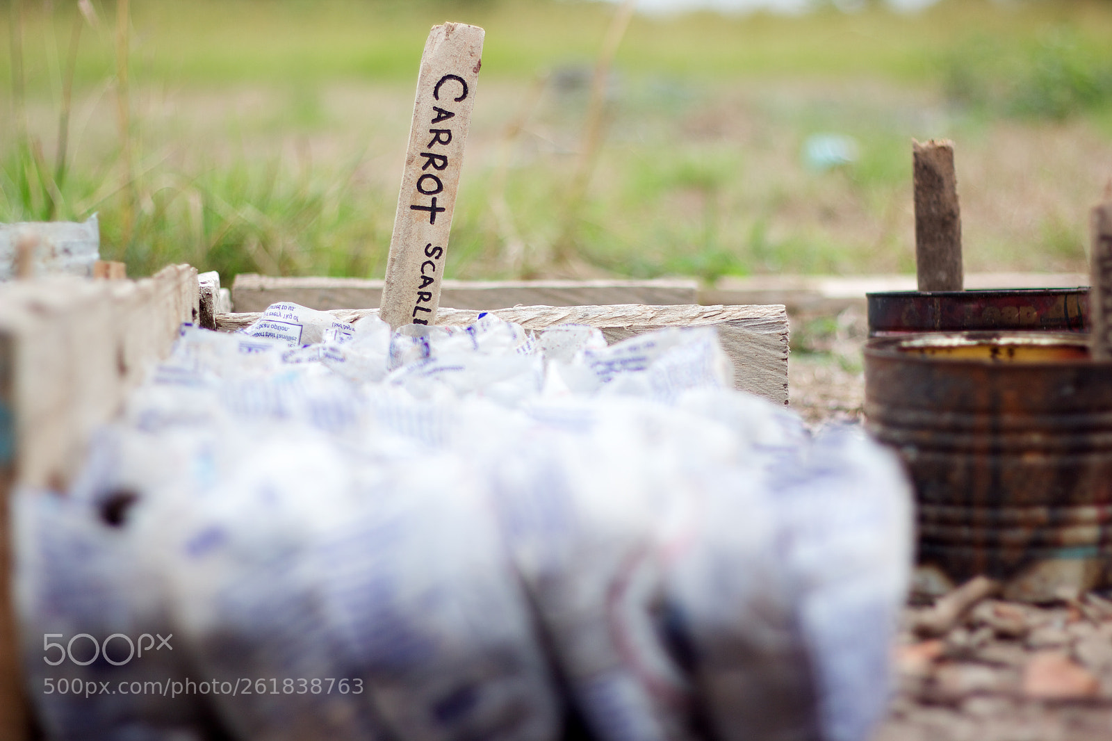 Canon EOS 600D (Rebel EOS T3i / EOS Kiss X5) sample photo. Ghana sprout garden photography