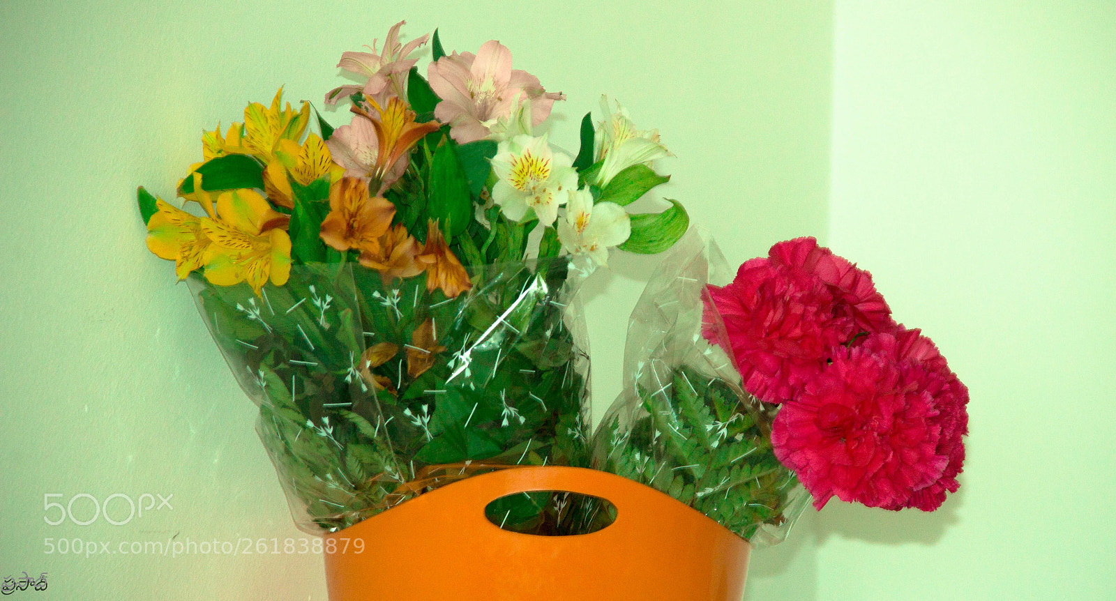 Canon EOS 60D sample photo. Colorful flowers photography