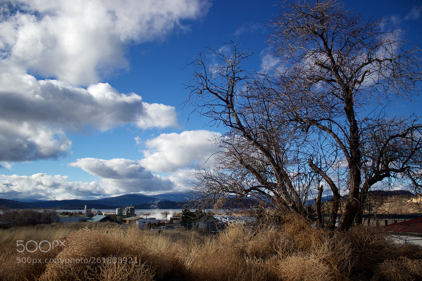 Canon EOS 600D (Rebel EOS T3i / EOS Kiss X5) sample photo. Inudstrial field with tree photography