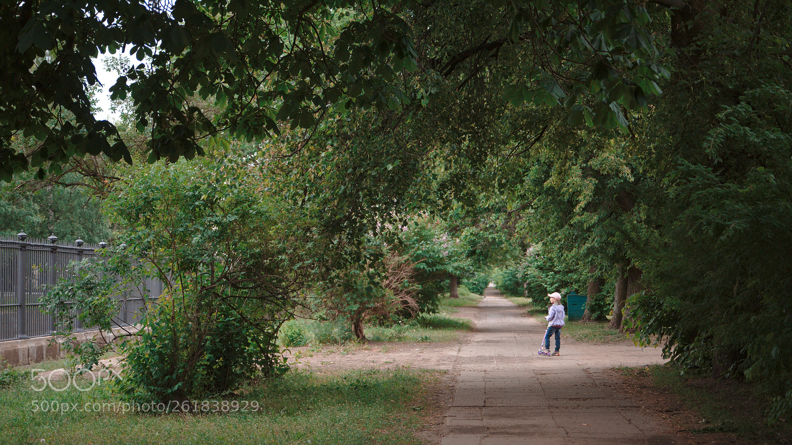 Canon EF 28-70mm f/3.5-4.5 sample photo. Вдоль обводного канала photography