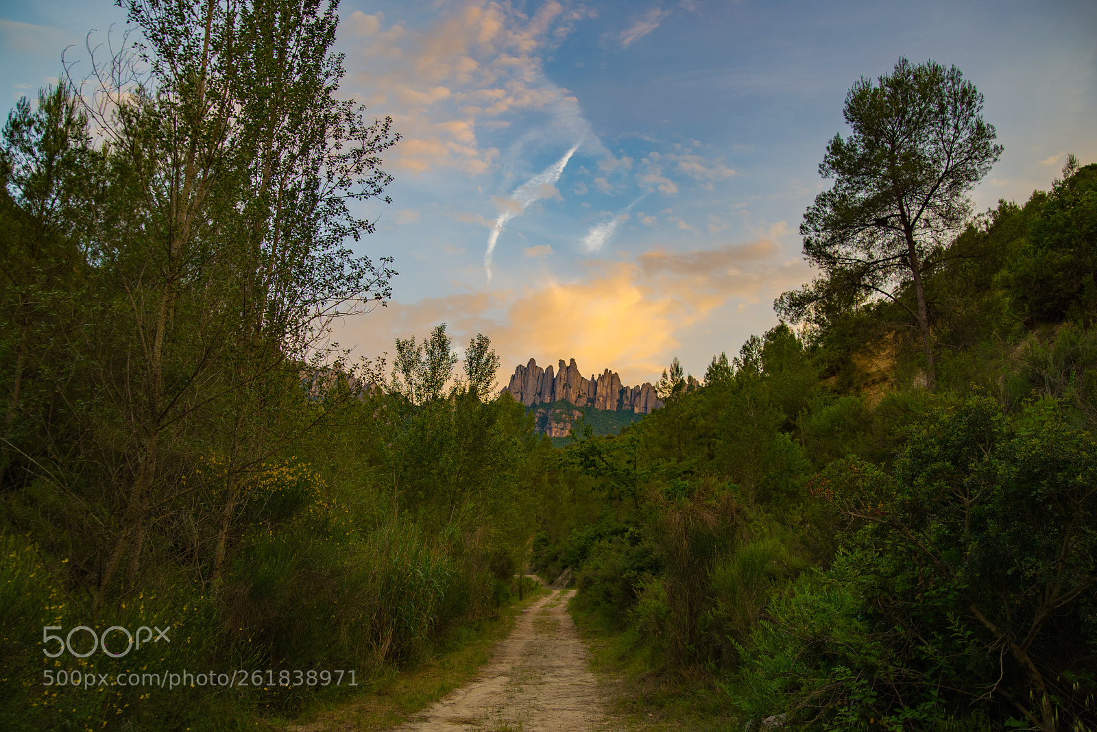 Nikon D610 sample photo. Camino hacia la monta photography