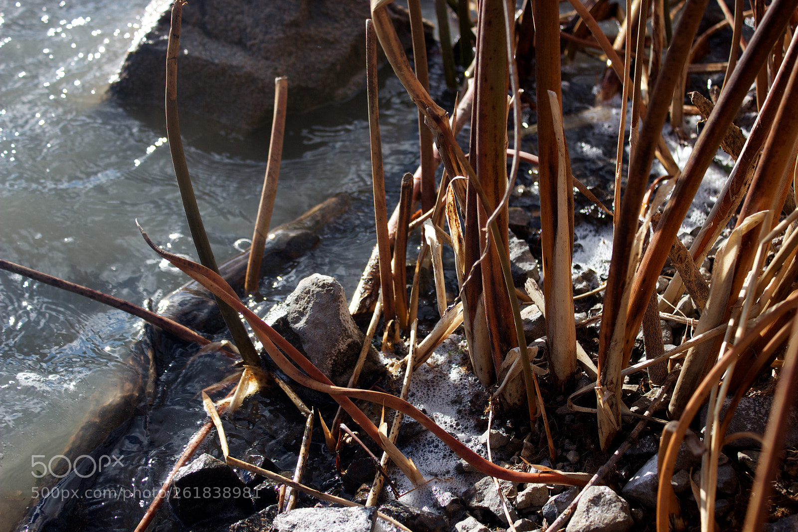 Canon EOS 600D (Rebel EOS T3i / EOS Kiss X5) sample photo. Klamath river side photography