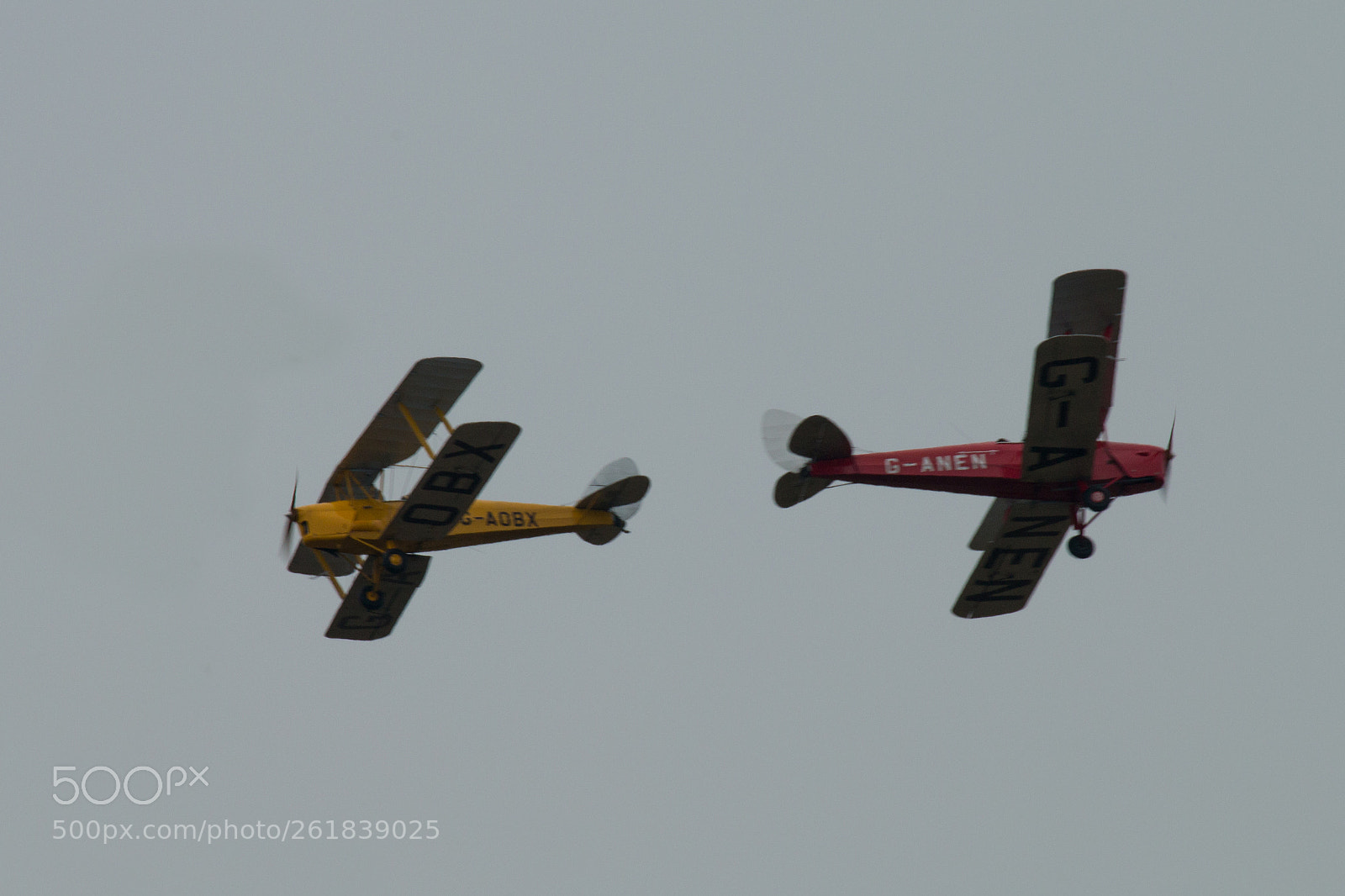 Canon EOS 70D sample photo. Tiger moth, duo photography