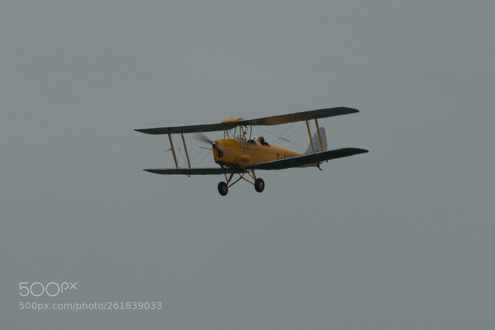 Canon EOS 70D sample photo. Tiger moth, a-aney (r-l) photography