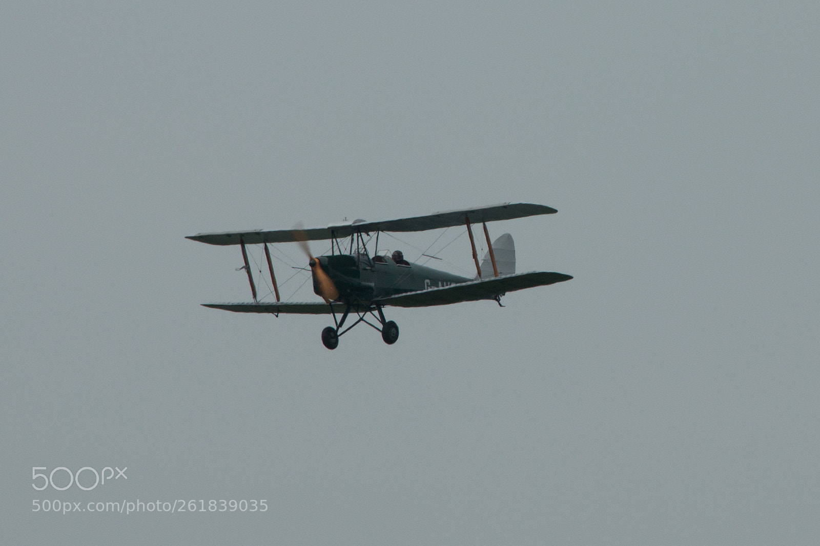 Canon EOS 70D sample photo. Tiger moth, g-ahoo (r-l) photography