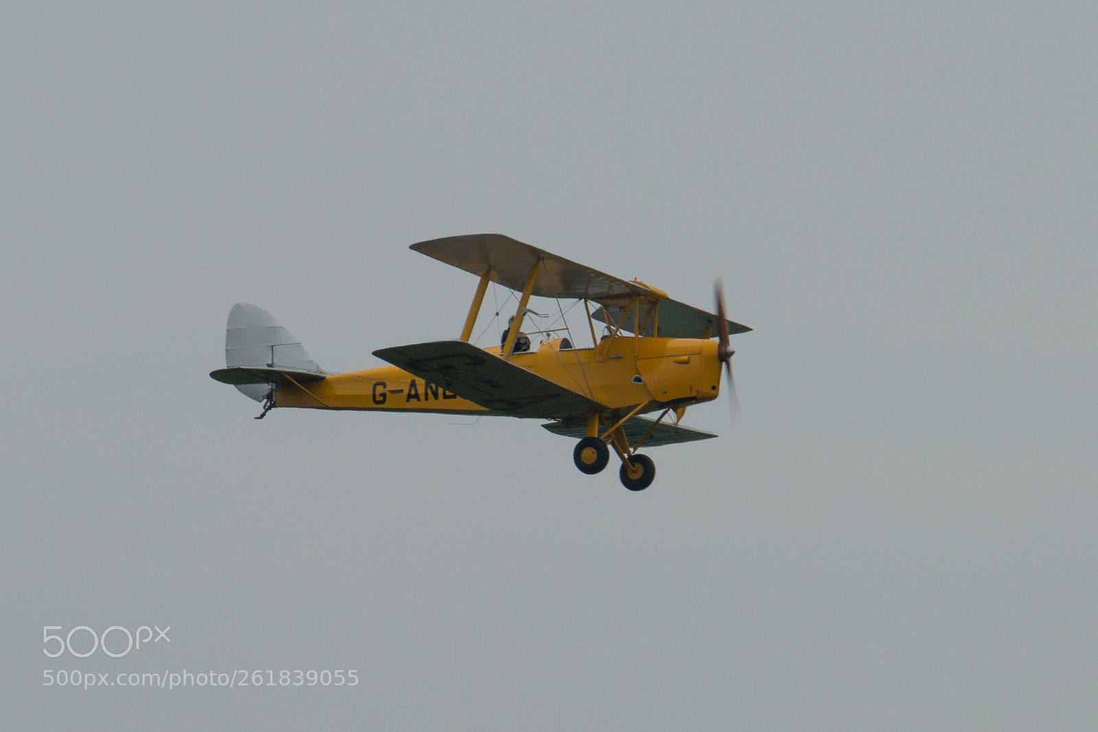 Canon EOS 70D sample photo. Tiger moth, g-aney photography
