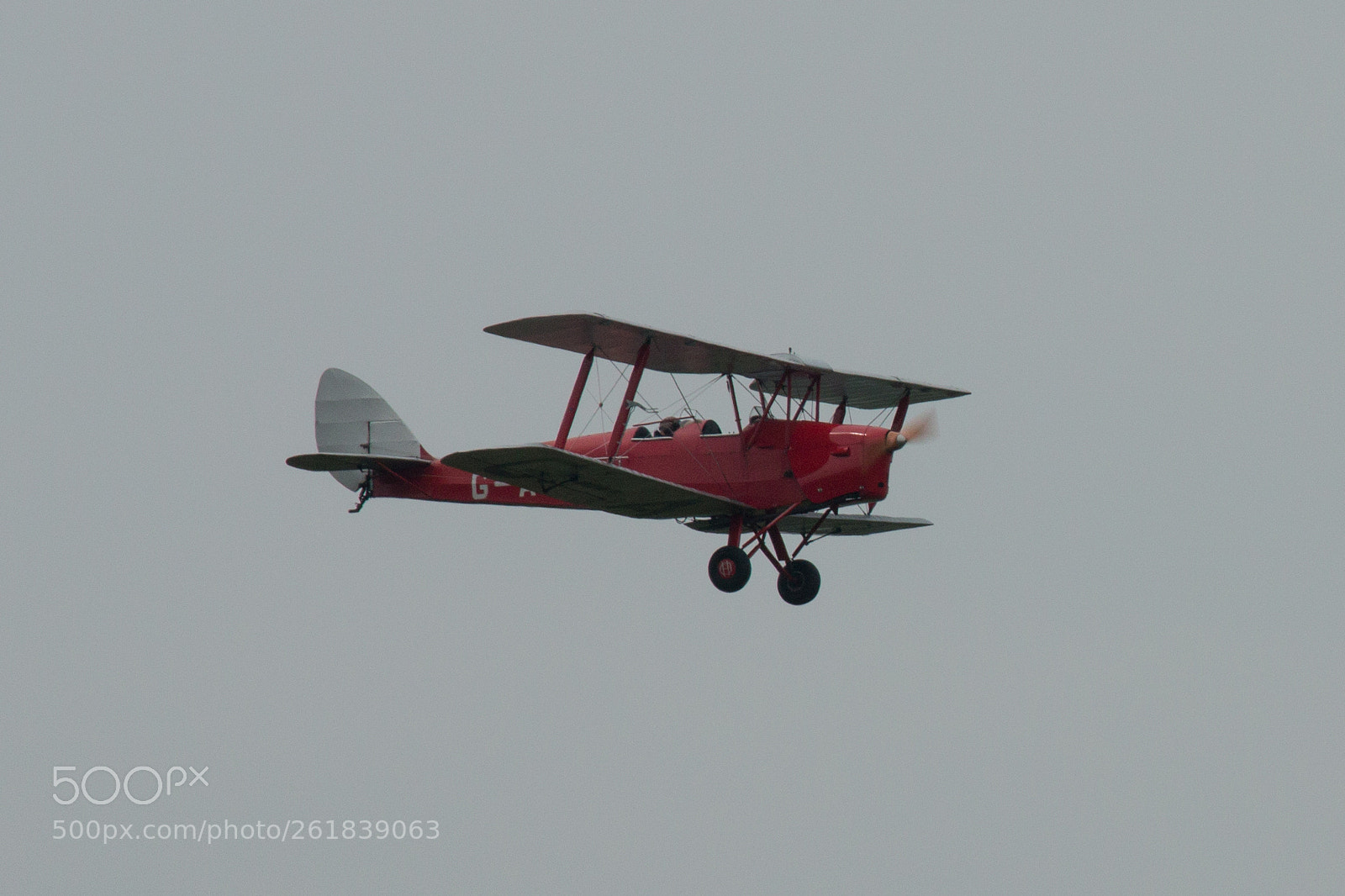 Canon EOS 70D sample photo. Tiger moth, g-anen photography