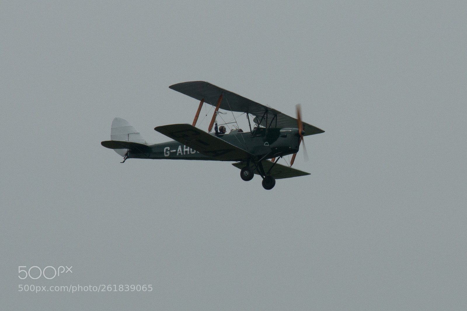 Canon EOS 70D sample photo. Tiger moth, g-ahoo photography