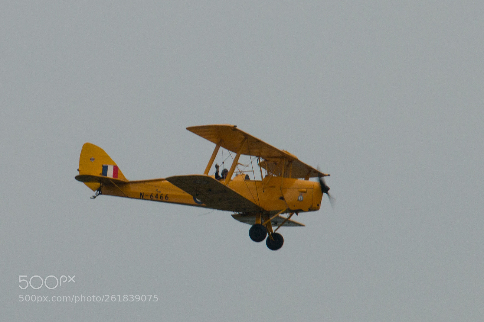 Canon EOS 70D sample photo. Tiger moth, n 5466 photography