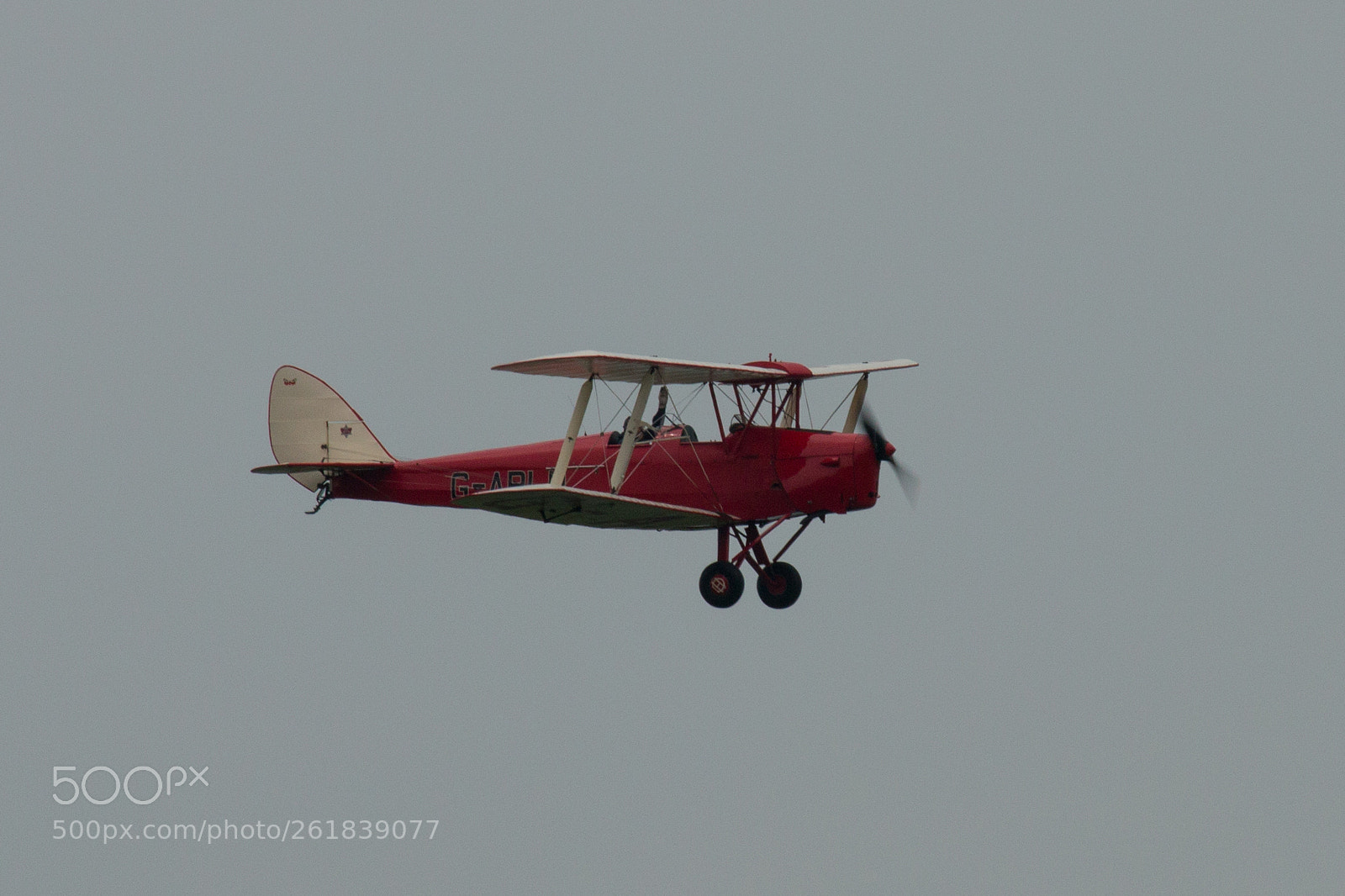 Canon EOS 70D sample photo. Tiger moth, g-aplu photography