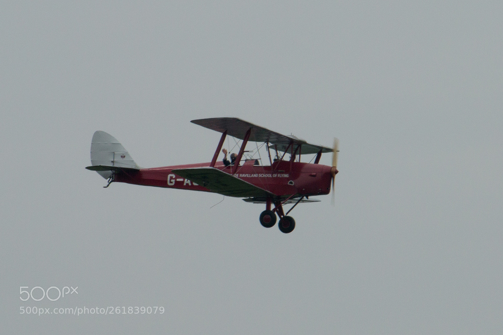 Canon EOS 70D sample photo. Tiger moth, g-acda photography
